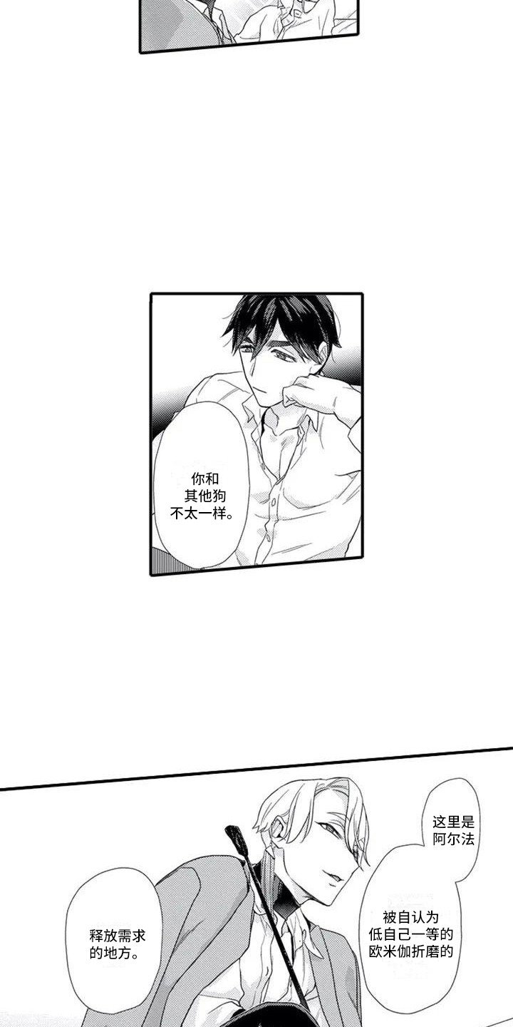 第3章：带回房间