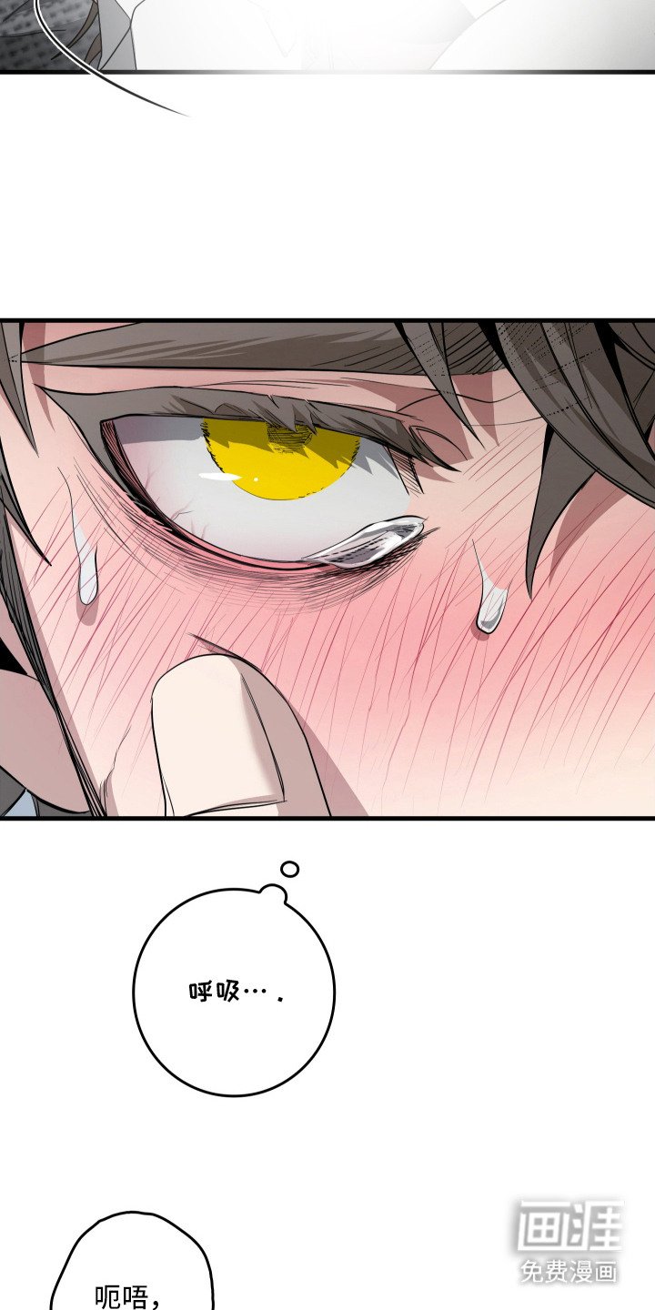 第17章：丢脸