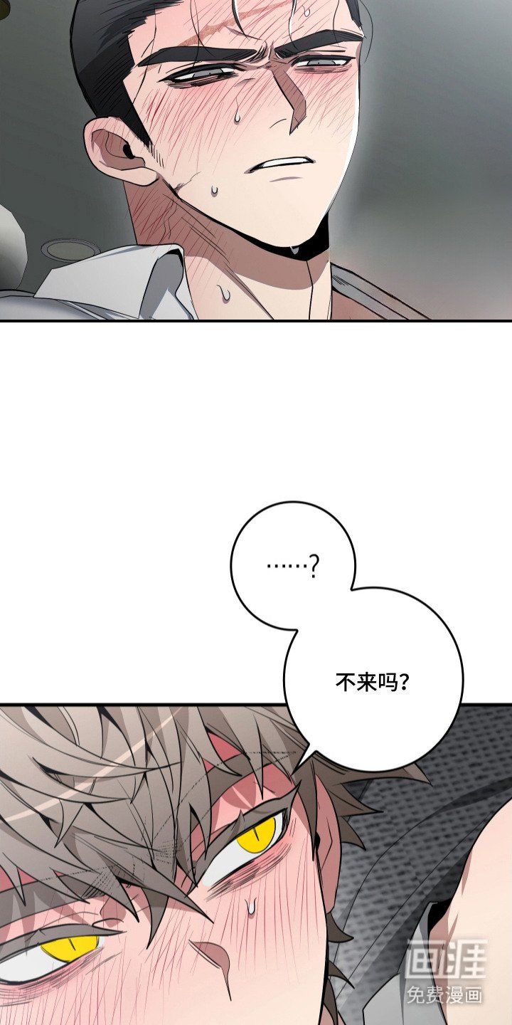 第17章：丢脸
