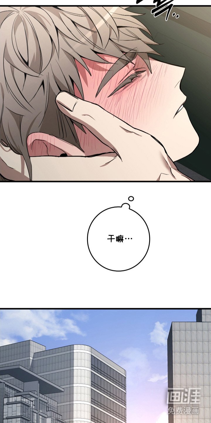 第18章：强势