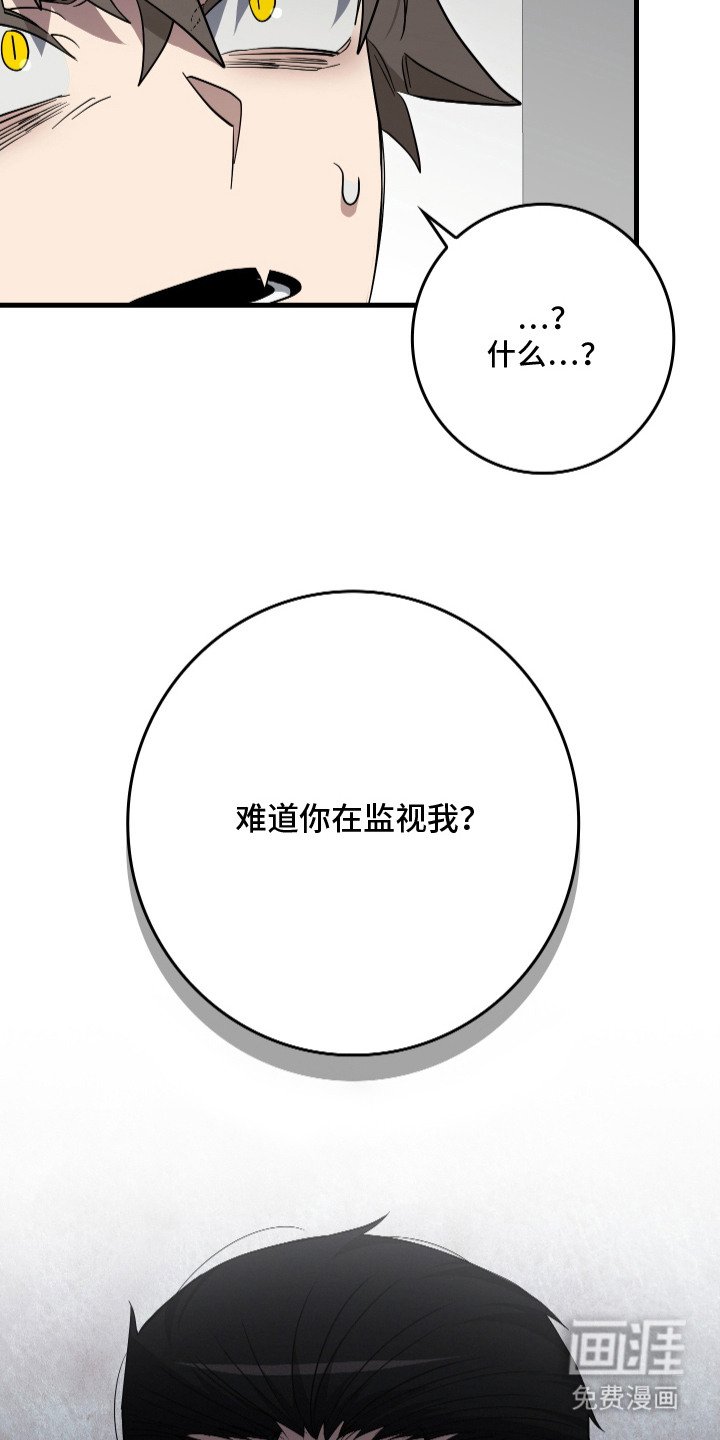 第21章：监视
