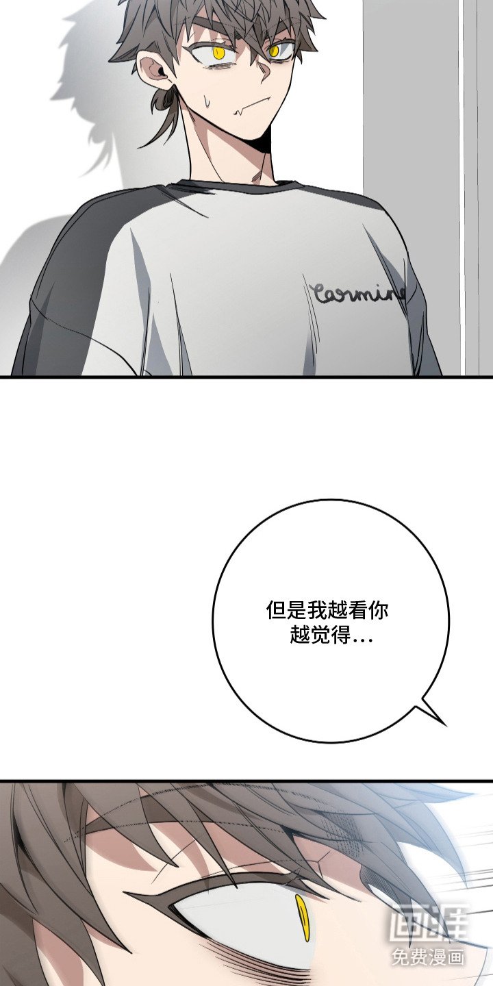 第21章：监视