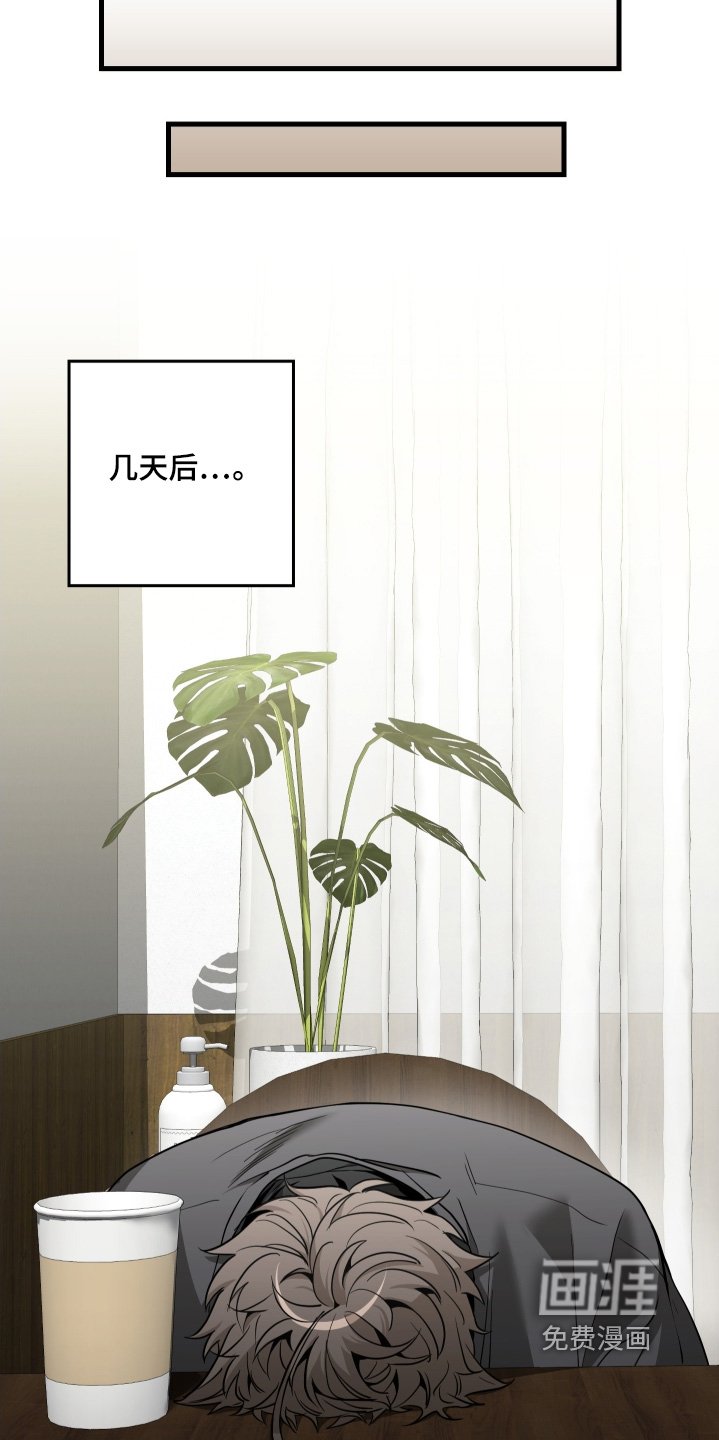 第26章：喜欢你的作品