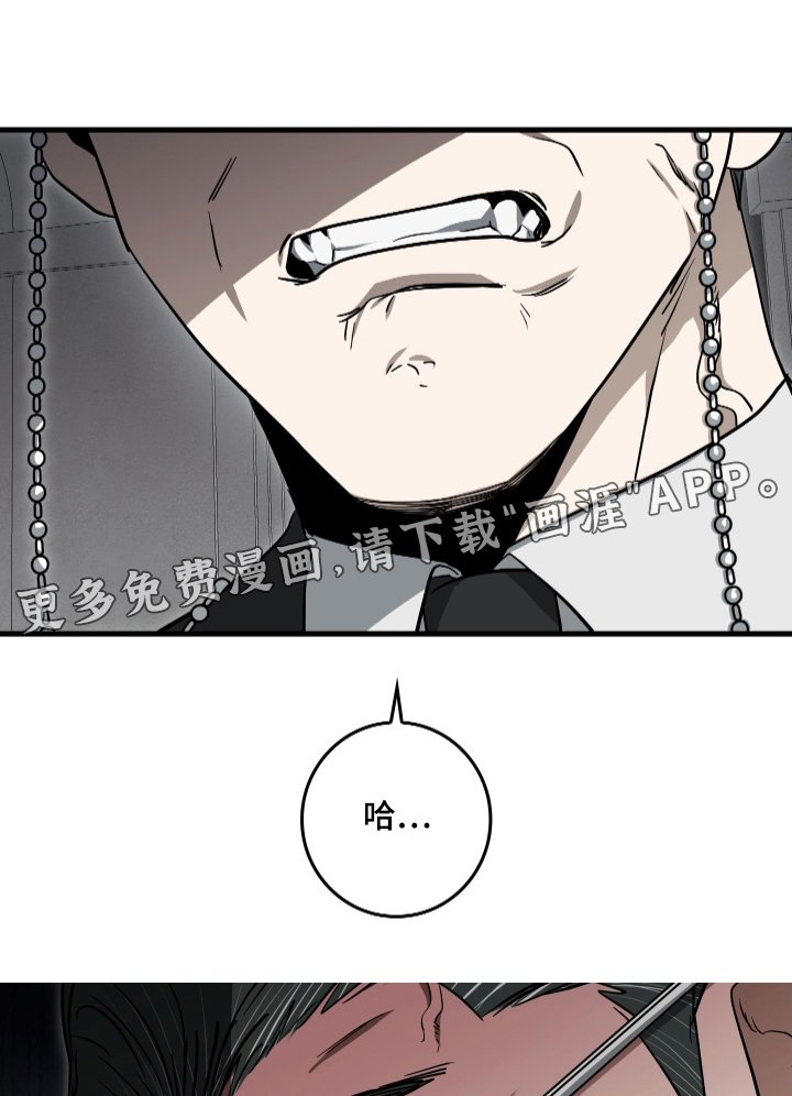 第39章：是什么关系