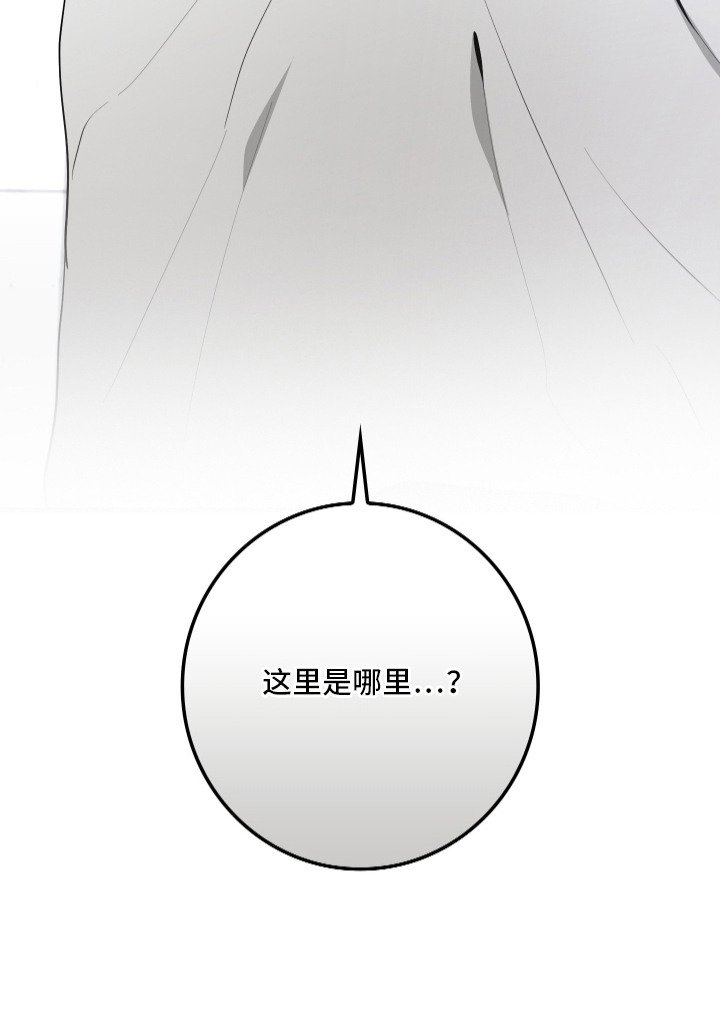 第4章：惊醒