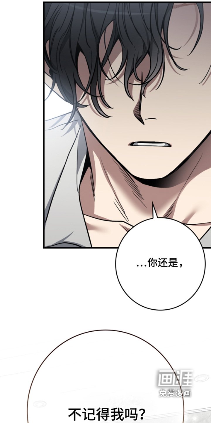 第43章：怎么了