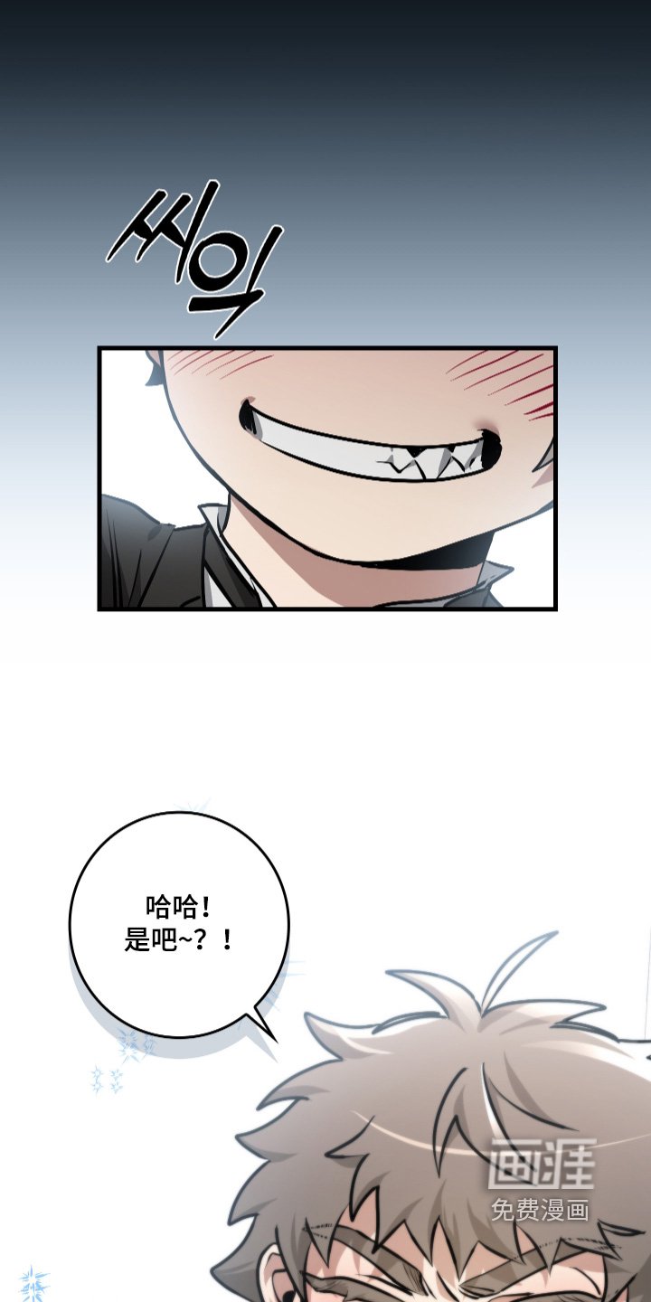 第45章：领养