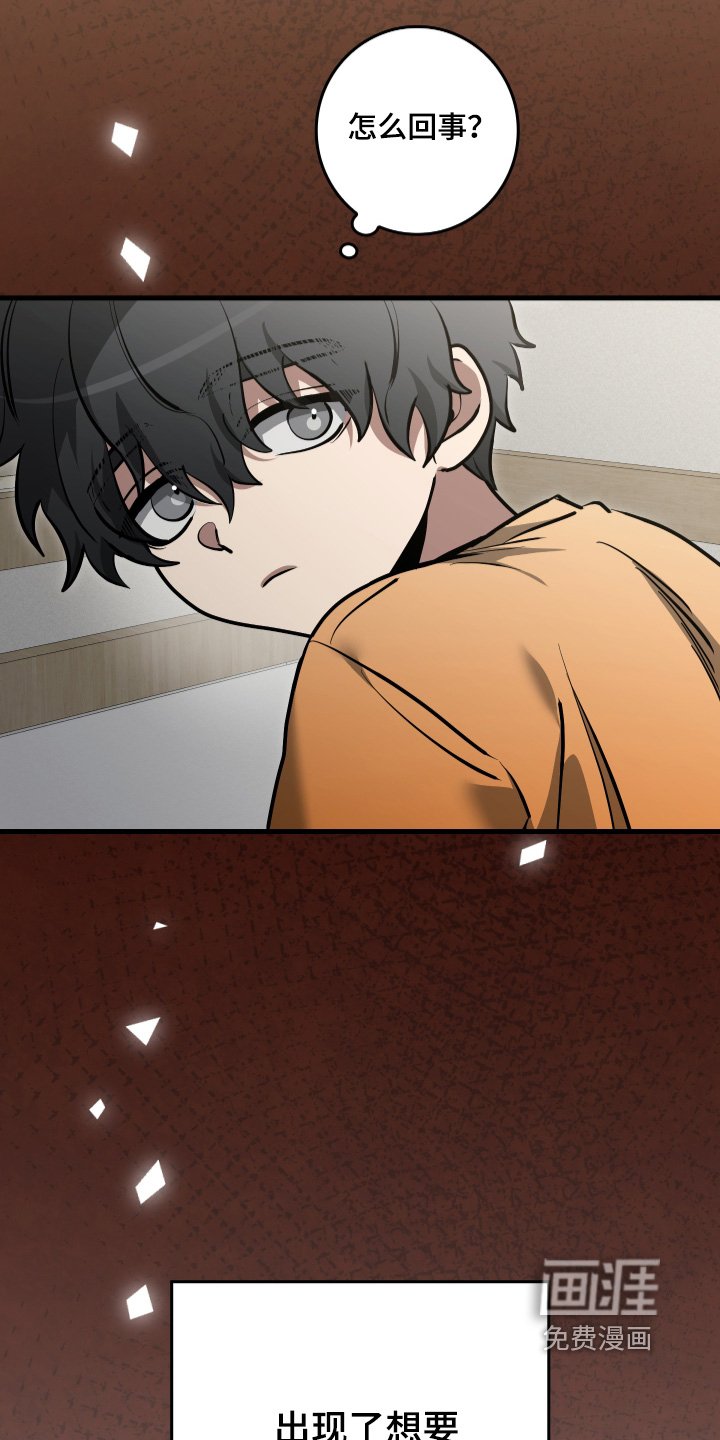 第45章：领养