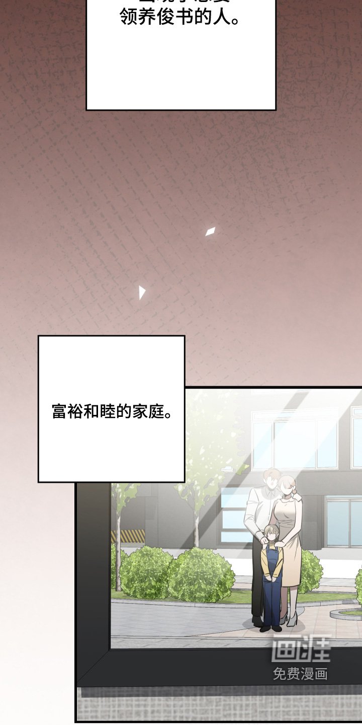 第45章：领养