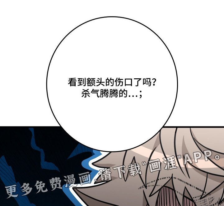 第49章：配合调查