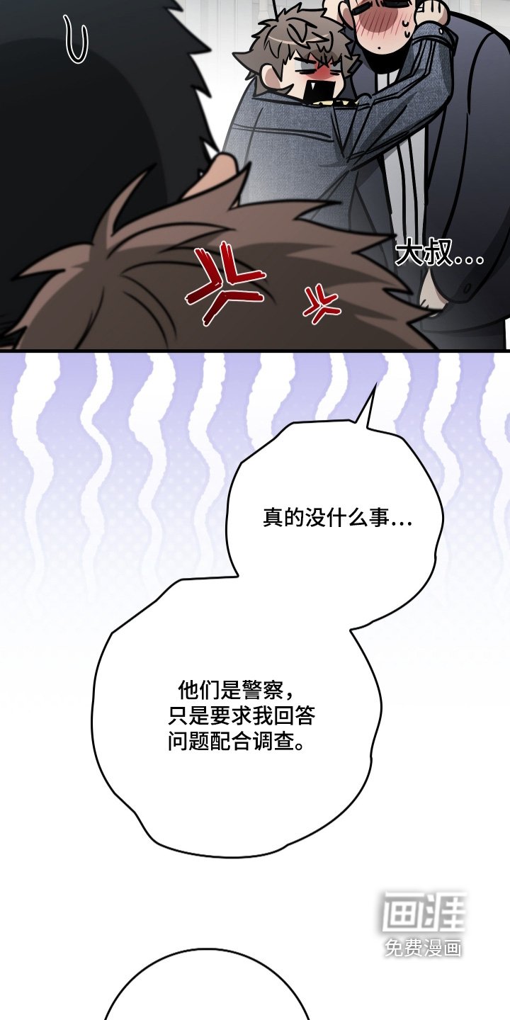 第49章：配合调查