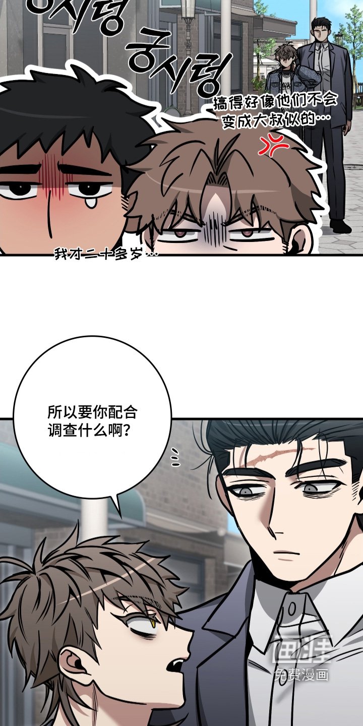 第49章：配合调查