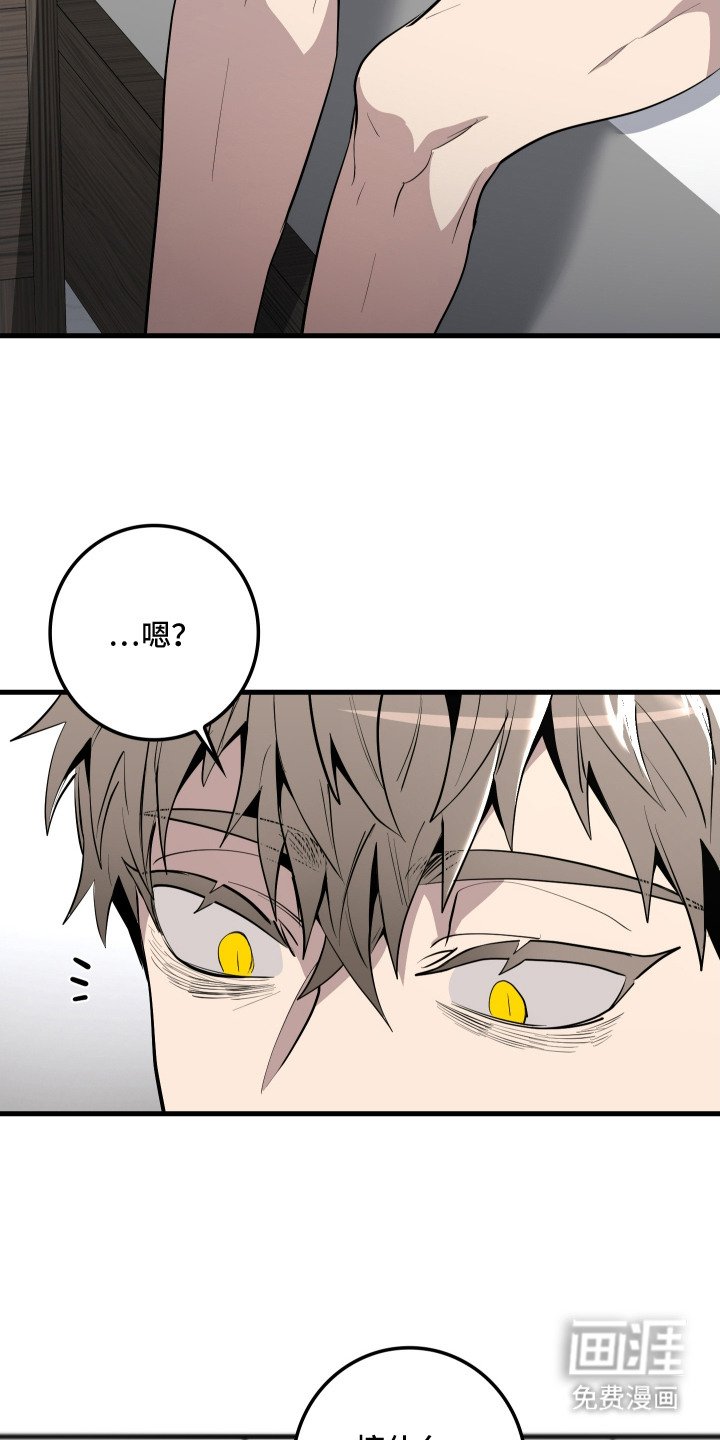 第5章：处得不错