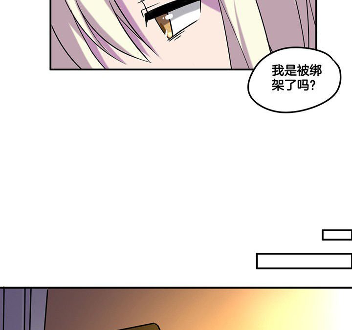 第85章：奇怪的绑架