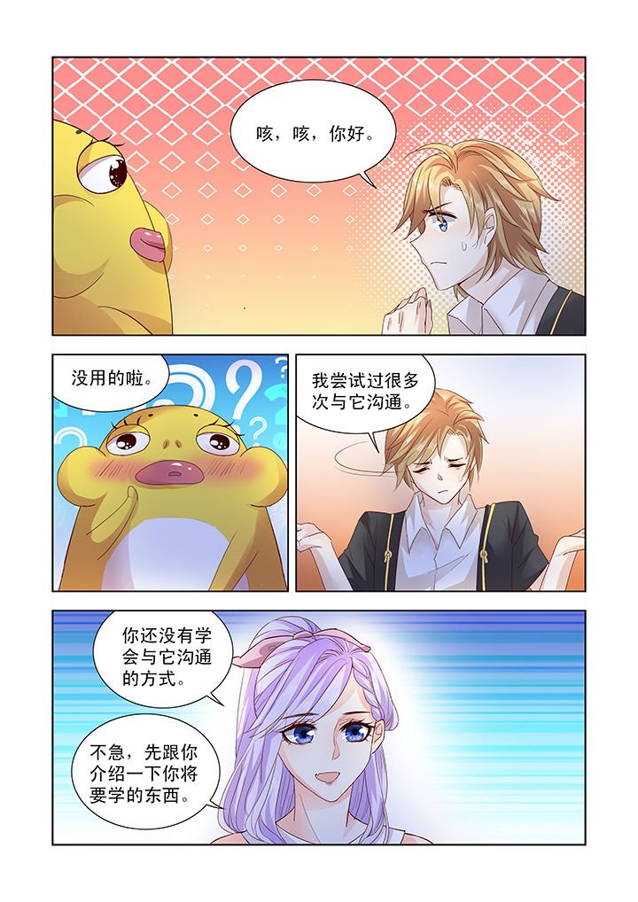 第11章：