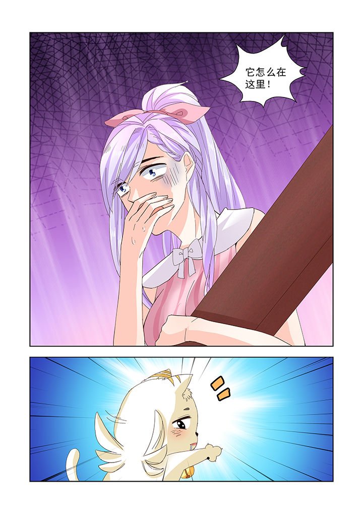 第16章：