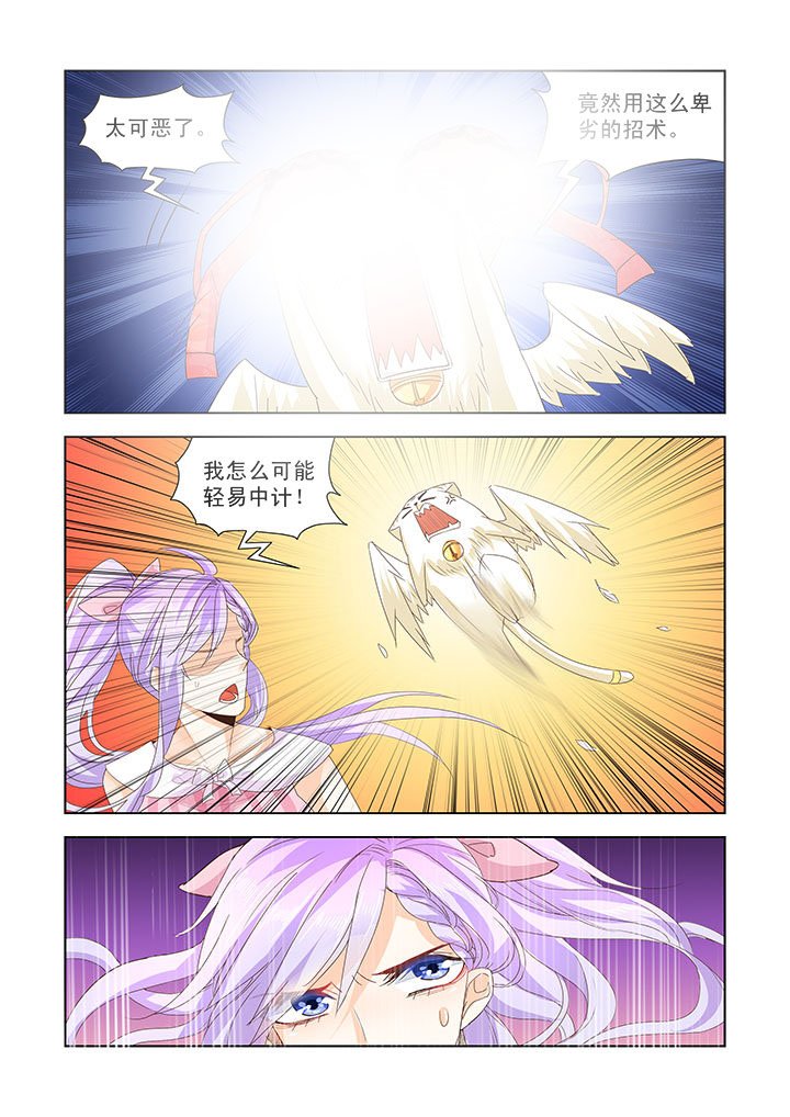 第31章：