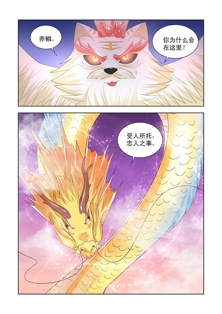 第39章：