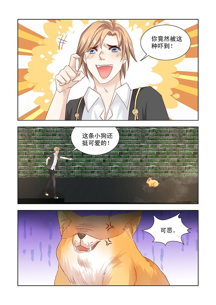 第4章：