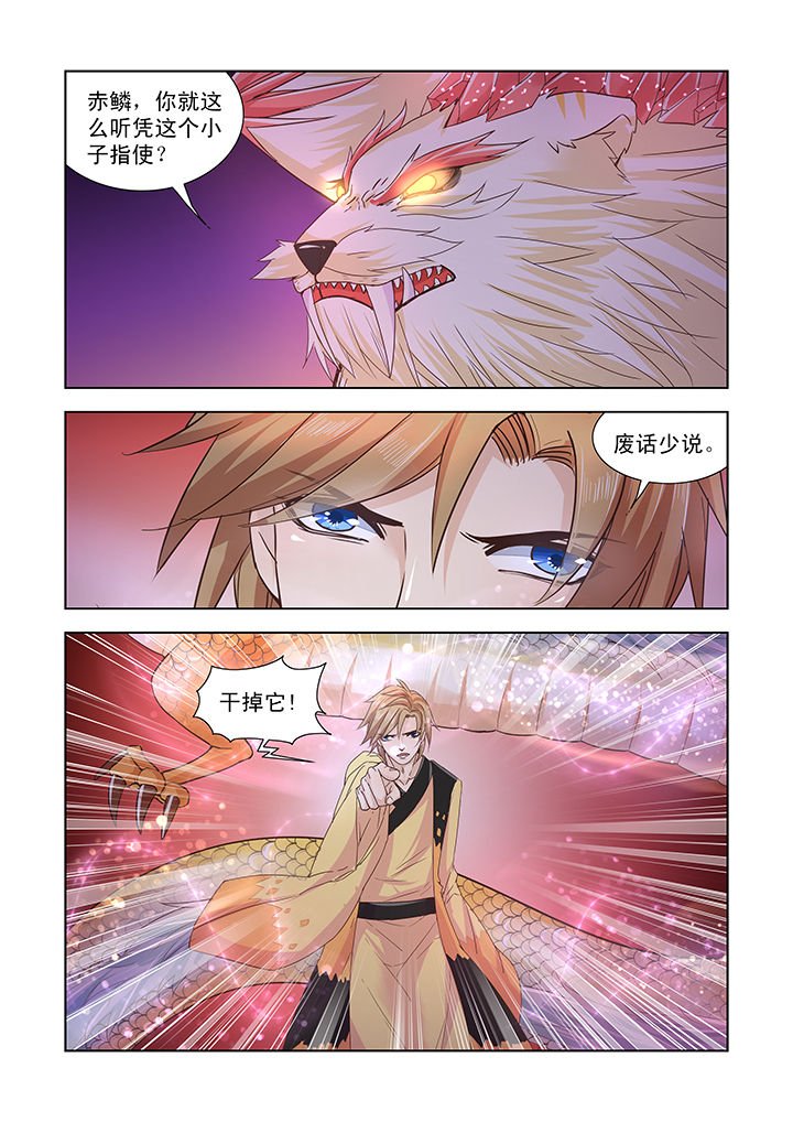 第41章：
