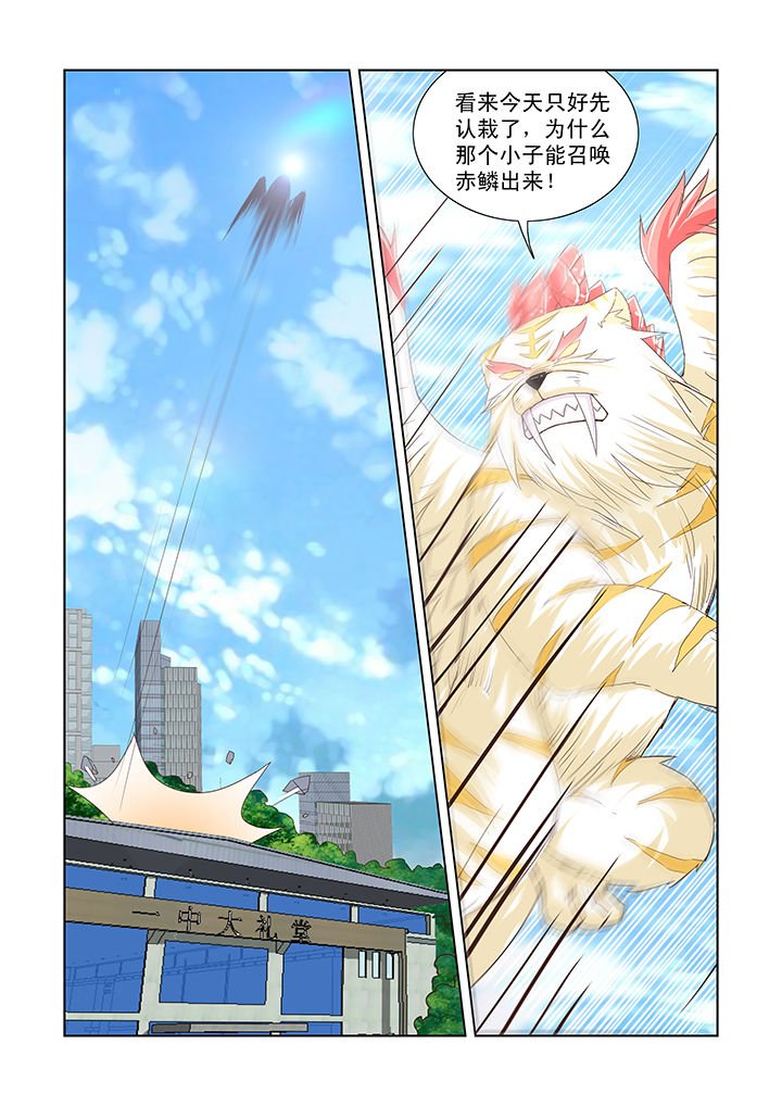第41章：