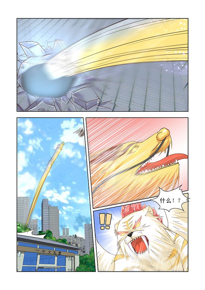 第41章：