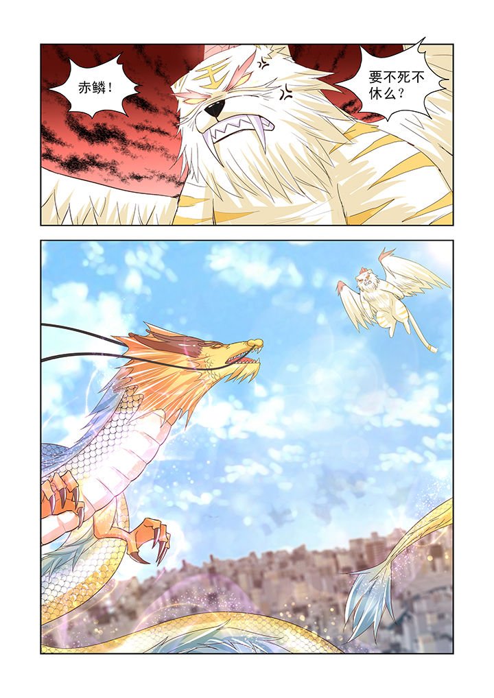 第41章：