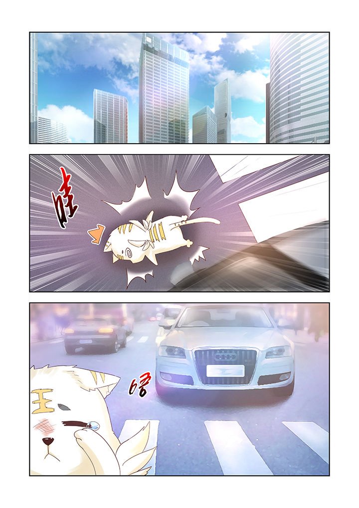 第6章：