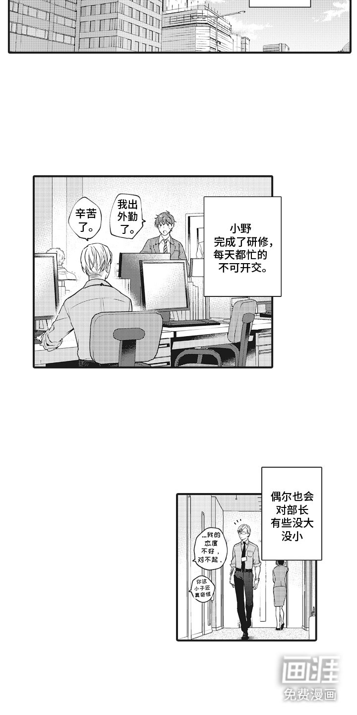 第27章：沉重的爱（完结）