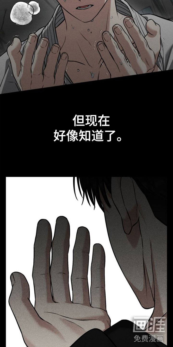 第11章：因为喜欢