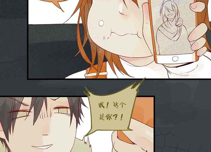 第15章：相似