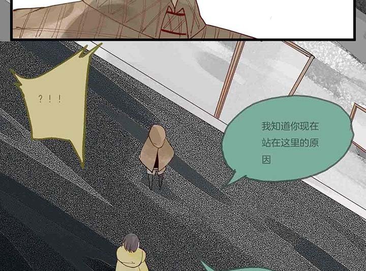 第15章：相似