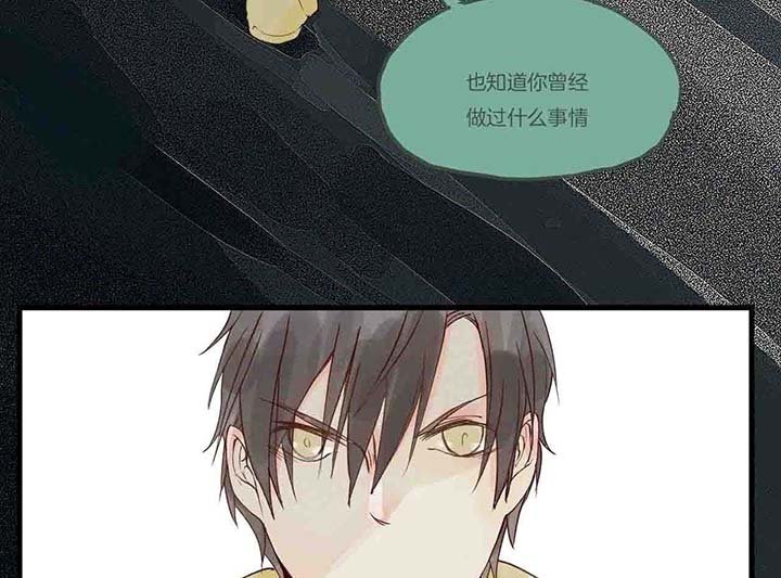 第15章：相似