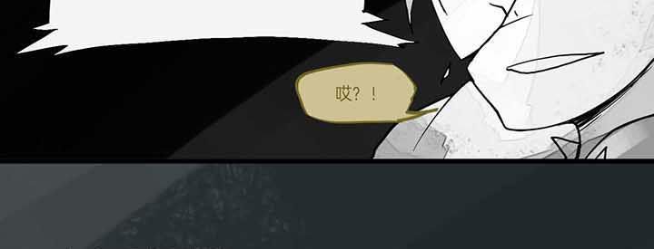 第19章：第一轮