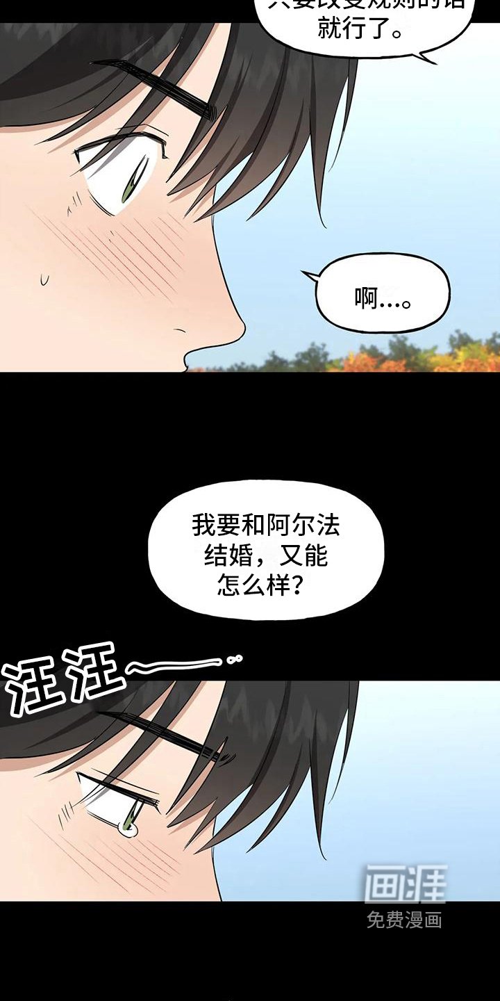 第5章：约定