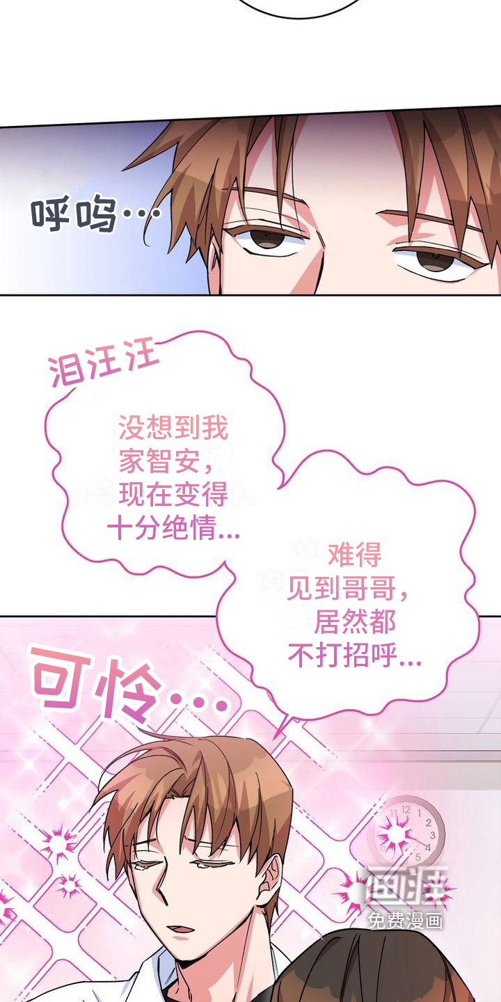 第13章：针对