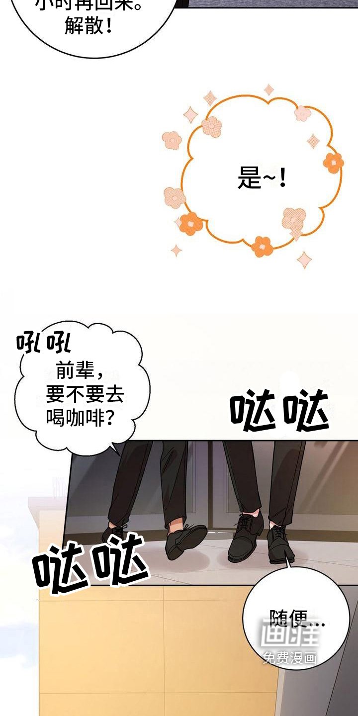 第19章：手段