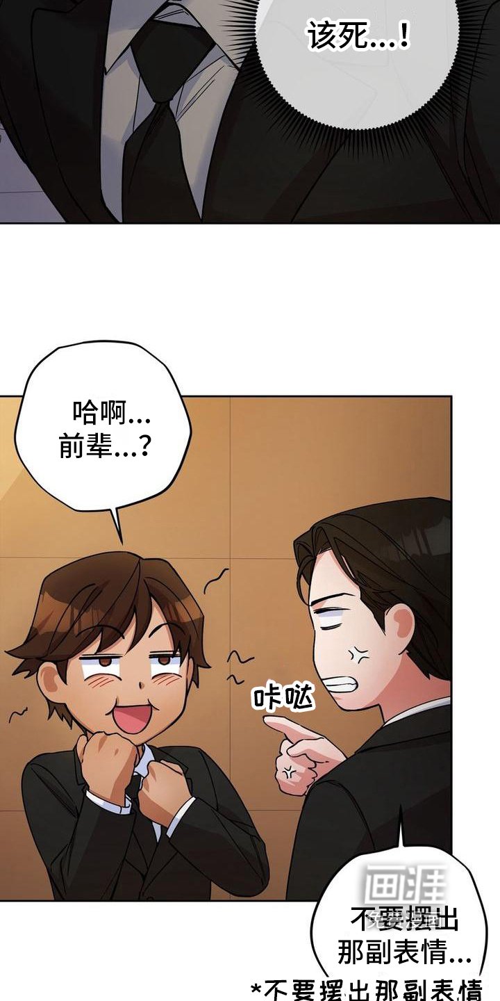 第19章：手段