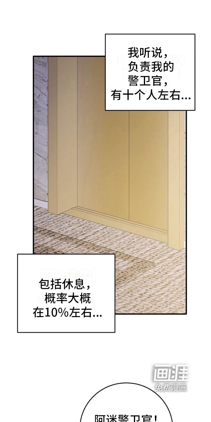 第20章：建议