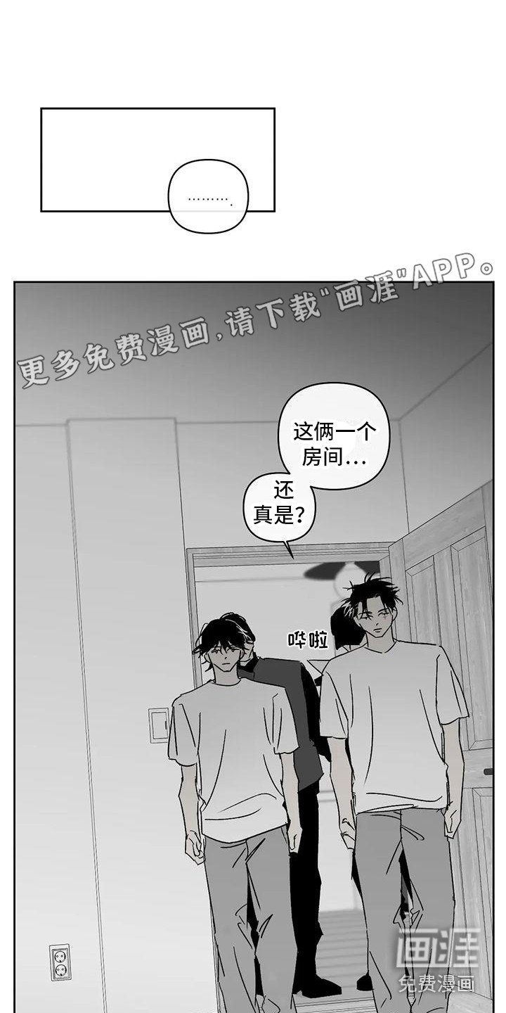 第11章：举报