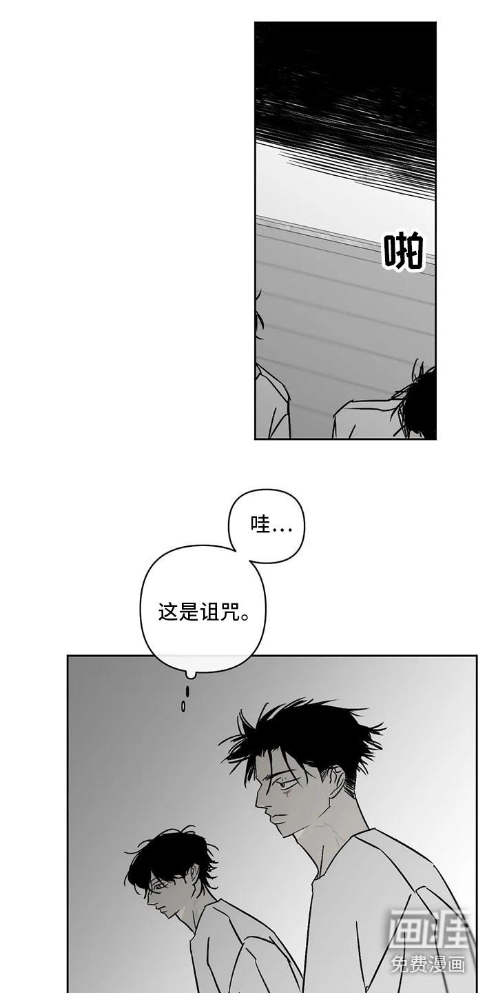 第11章：举报