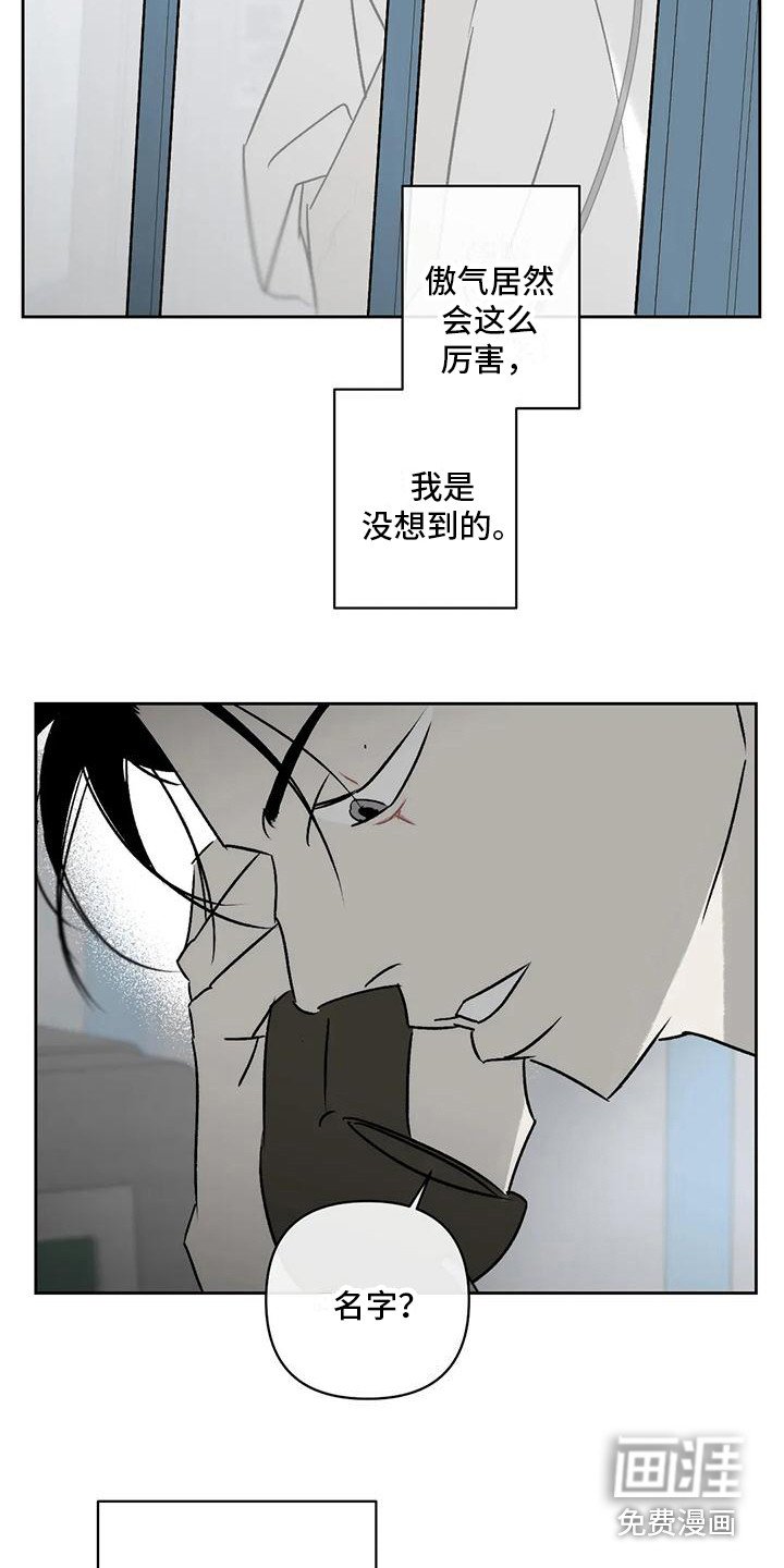 第11章：举报