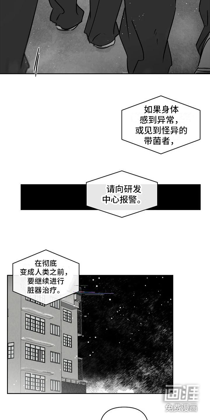 第12章：承受孤独