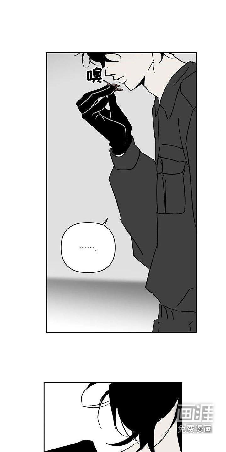 第17章：找茬
