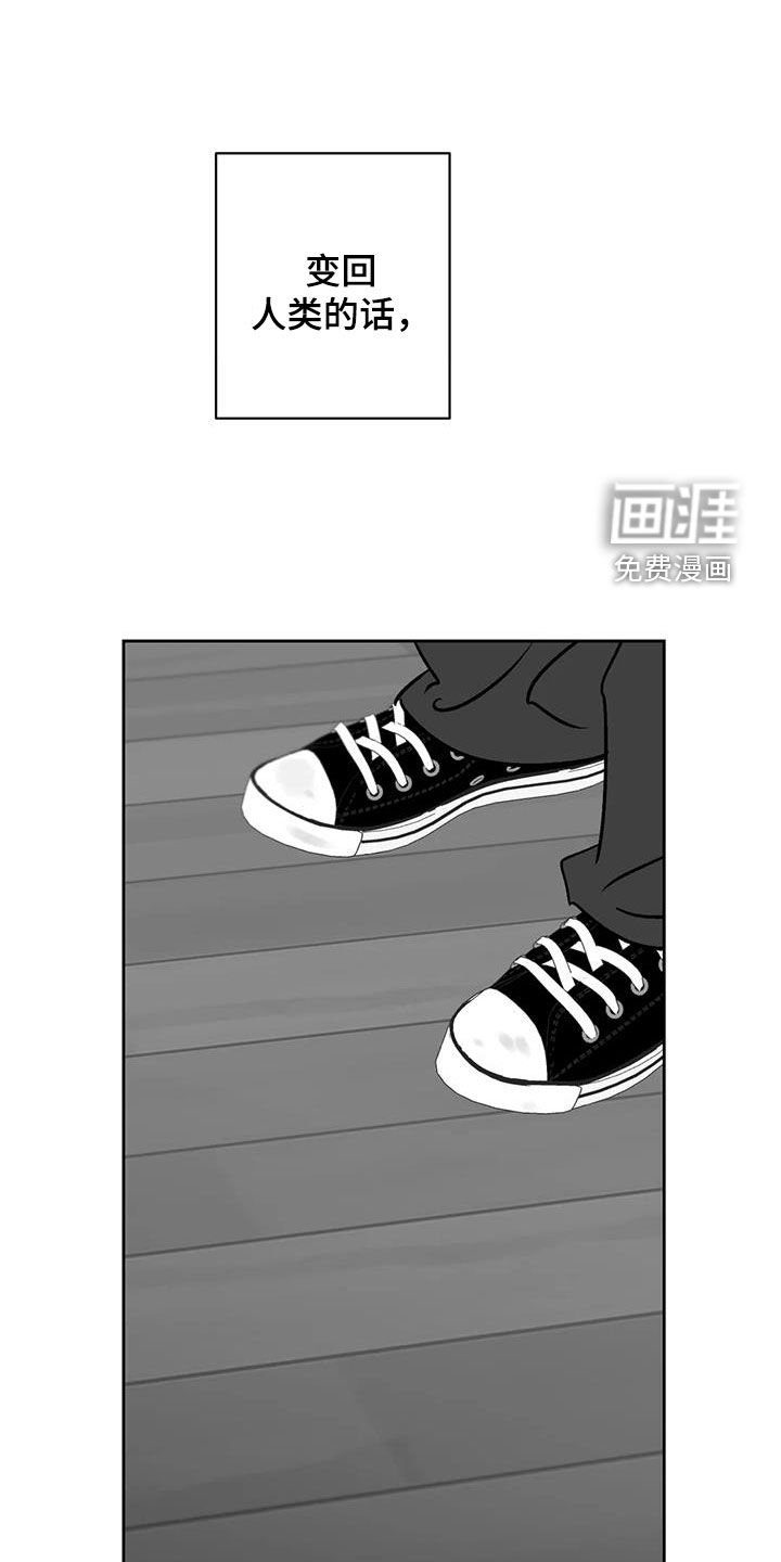 第23章：照片