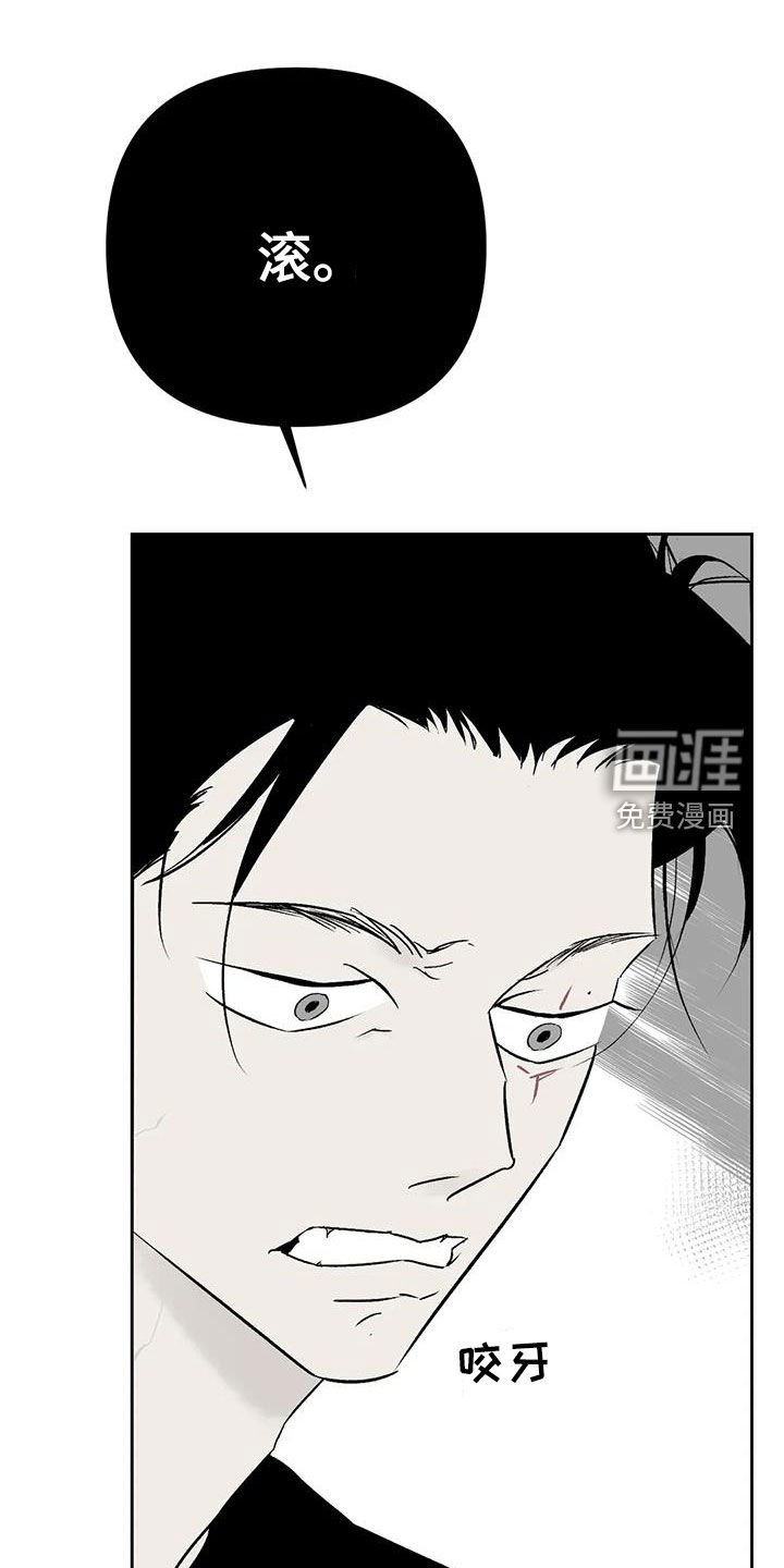 第26章：呼唤