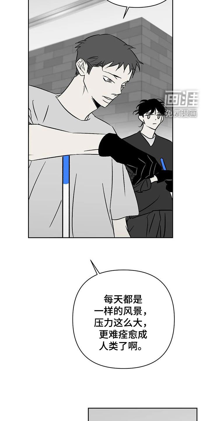 第29章：关乎生存