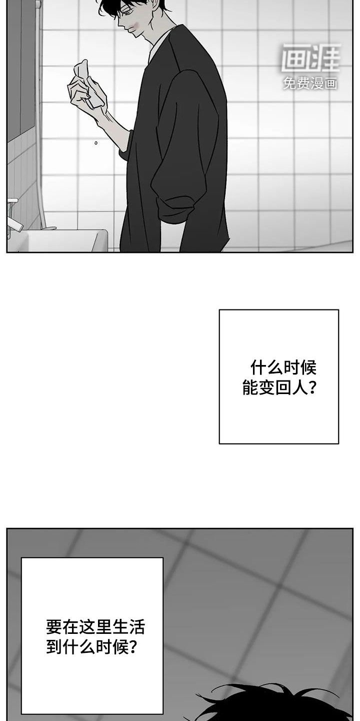 第31章：负罪感