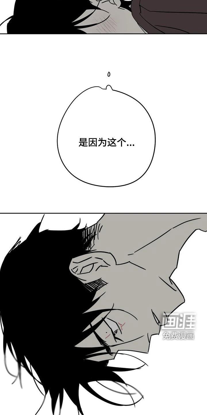 第50章：伤口