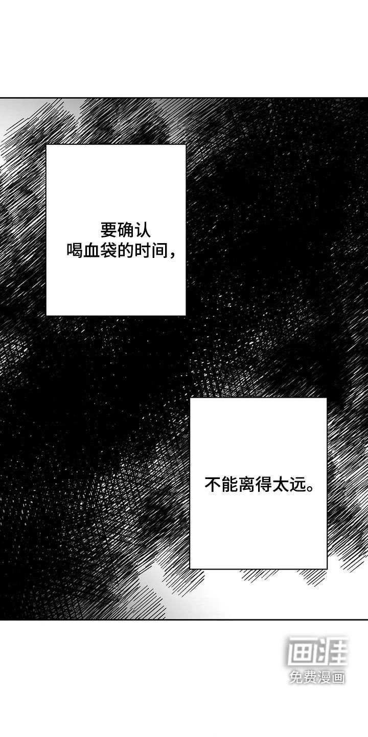 第52章：够了